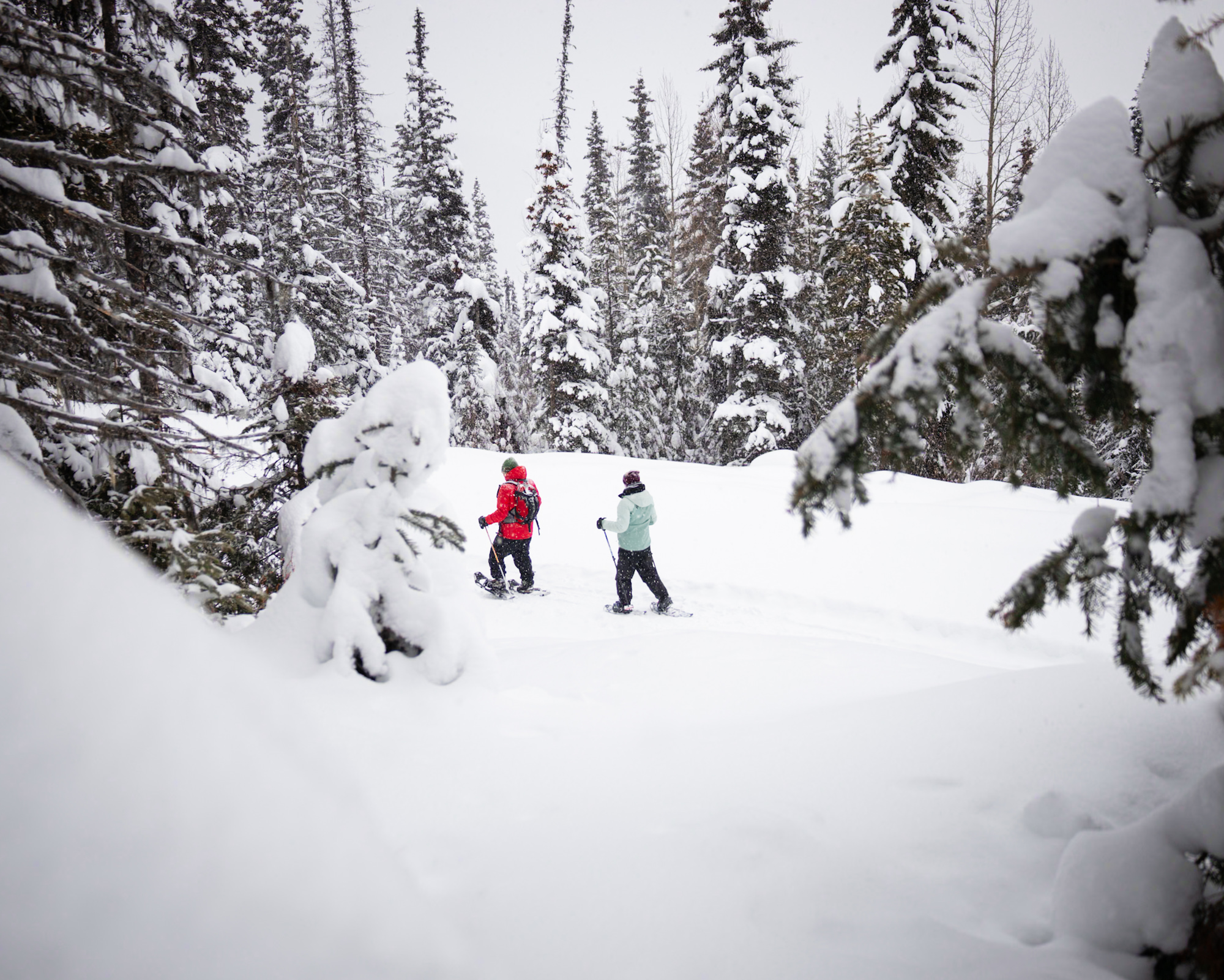 Snowshoe through past, present, future in Quesnel, Wells SnowSeekers